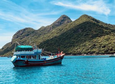 Vì Sao Sóng Biển Phục Hồi Nơ-ron Thần Kinh?