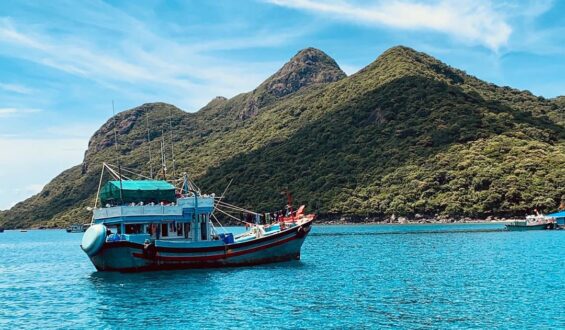 Vì Sao Sóng Biển Phục Hồi Nơ-ron Thần Kinh?