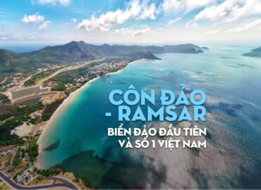 Khám Phá Côn Đảo: Điểm Đến Lý Tưởng Cho Những Tâm Hồn Yêu Thích Bình Yên