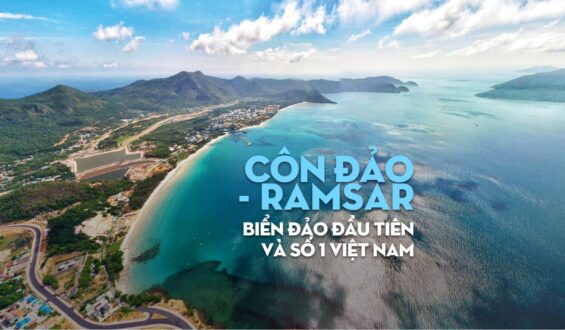 Khám Phá Côn Đảo: Điểm Đến Lý Tưởng Cho Những Tâm Hồn Yêu Thích Bình Yên